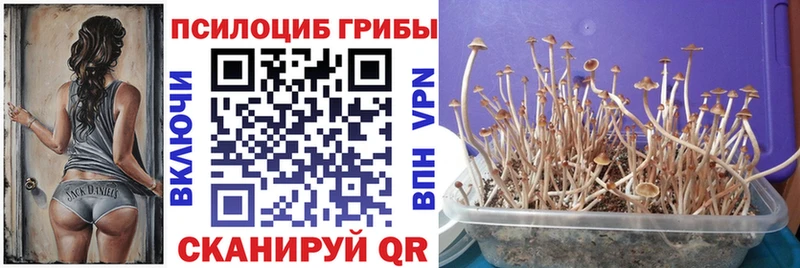 Псилоцибиновые грибы Magic Shrooms  наркотики  Новый Оскол 